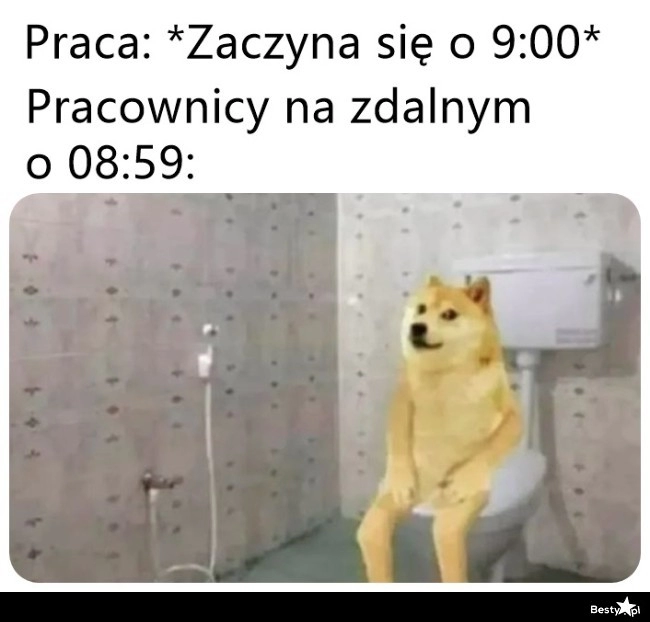 
    Praca zdalna 