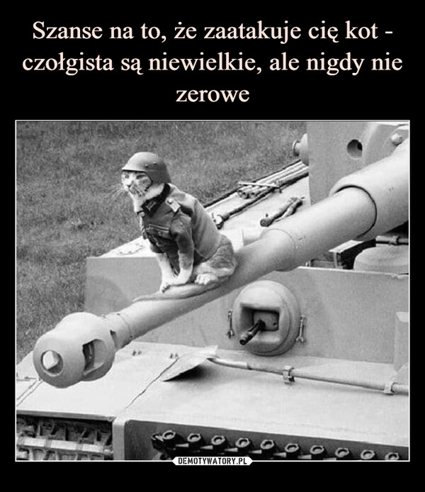 
    Szanse na to, że zaatakuje cię kot - czołgista są niewielkie, ale nigdy nie zerowe