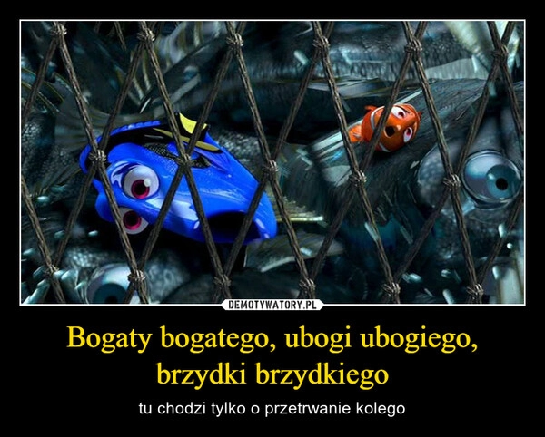 
    Bogaty bogatego, ubogi ubogiego, brzydki brzydkiego