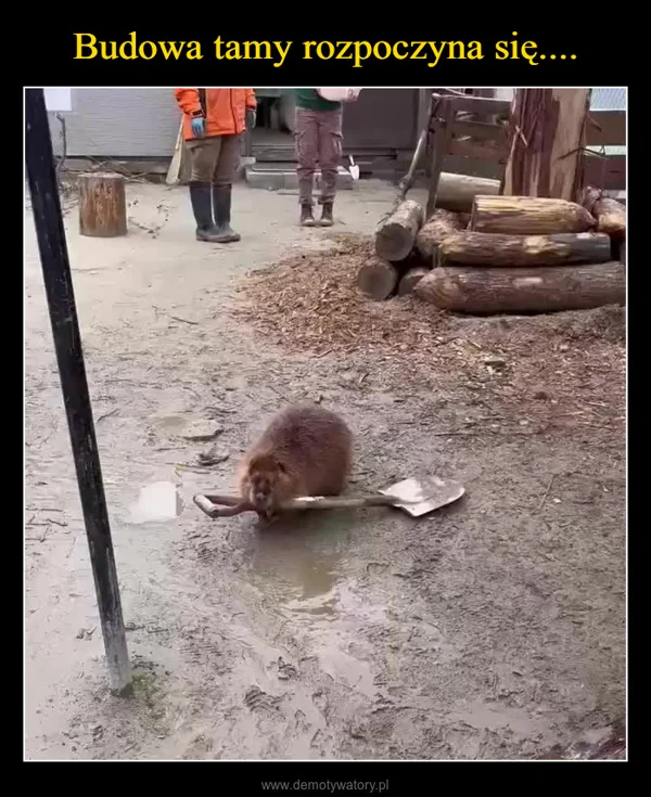 
    Budowa tamy rozpoczyna się....