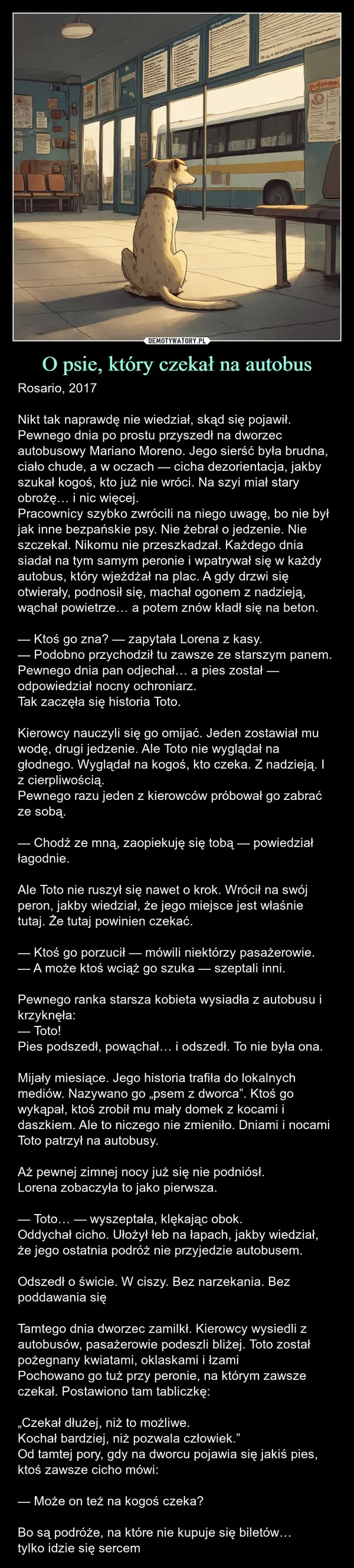 
    O psie, który czekał na autobus