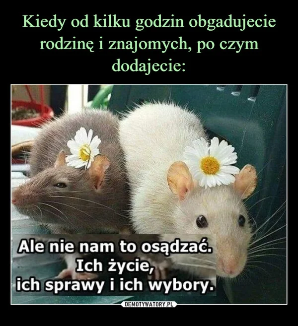 
    Kiedy od kilku godzin obgadujecie rodzinę i znajomych, po czym dodajecie: