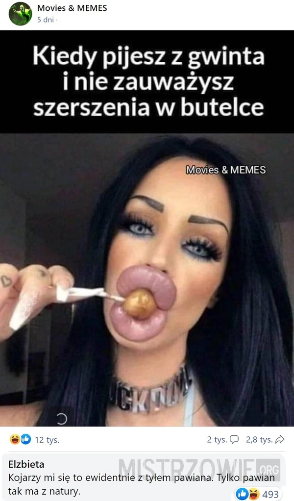 
    Szerszeń