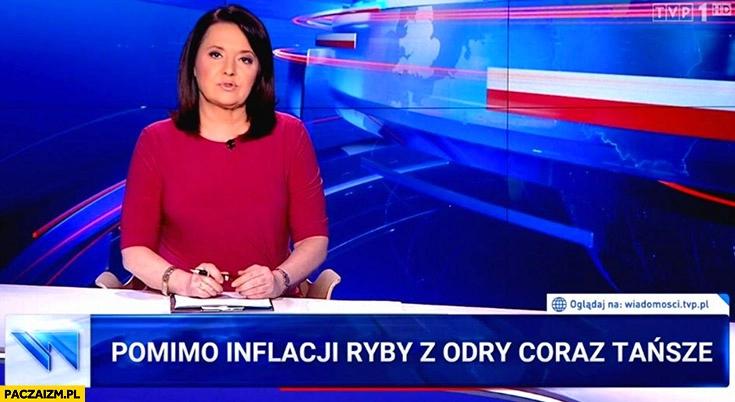 
    Pomimo inflacji ryby z Odry coraz tańsze pasek Wiadomości TVP
