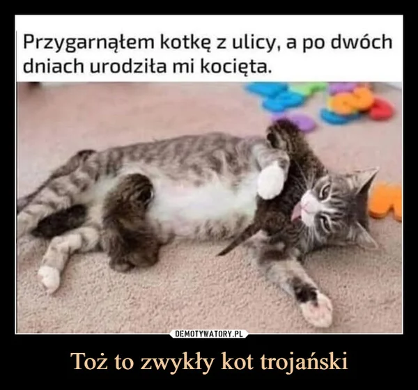 
    Toż to zwykły kot trojański