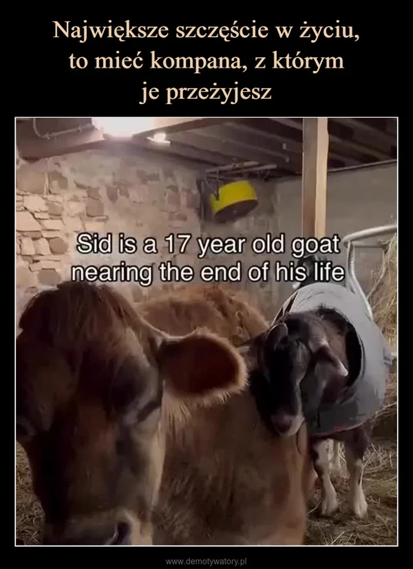 Największe szczęście w życiu, to mieć kompana, z którym je przeżyjesz