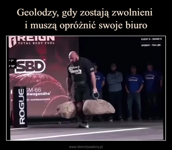 Geolodzy, gdy zostają zwolnieni i muszą opróżnić swoje biuro