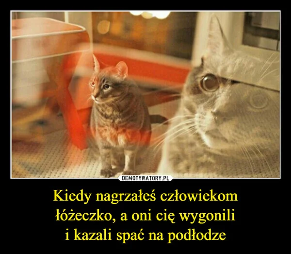 
    Kiedy nagrzałeś człowiekom łóżeczko, a oni cię wygonili i kazali spać na podłodze