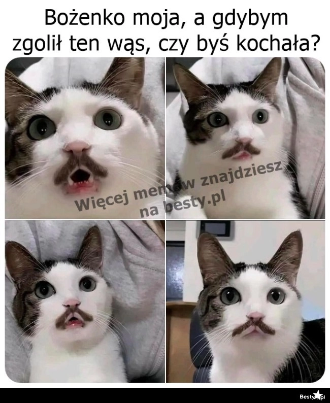 
    A gdybym zgolił wąs... 