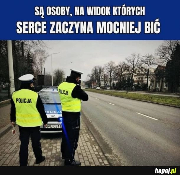 
    Serce nie sługa