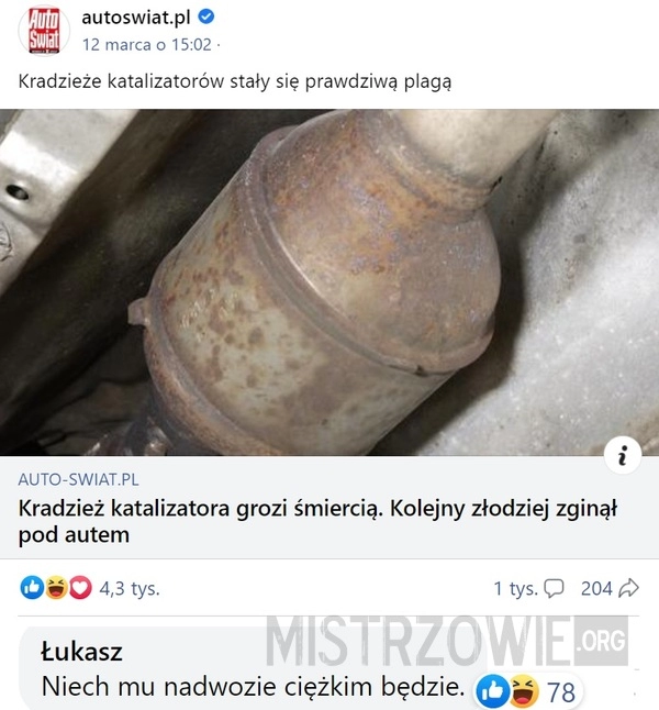 
    Kradzież