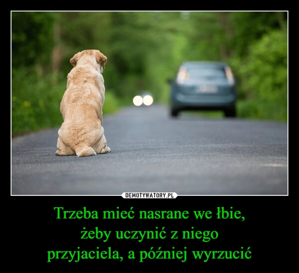 
    Trzeba mieć nasrane we łbie,
żeby uczynić z niego
przyjaciela, a później wyrzucić