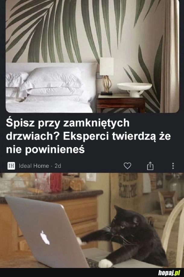 
    Eksperci