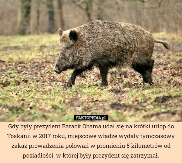 
    Gdy były prezydent Barack Obama udał się na krótki urlop do Toskanii w 2017