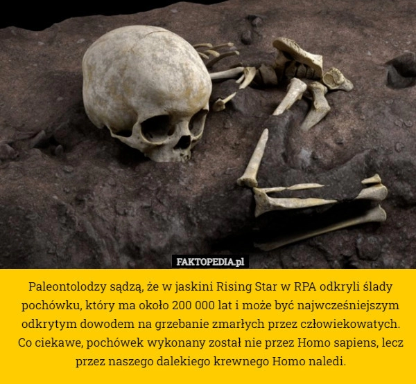 
    Paleontolodzy sądzą, że w jaskini Rising Star w RPA odkryli ślady pochówku,