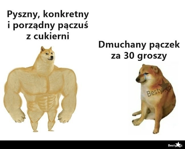 
    Dobry, porządny pączek 