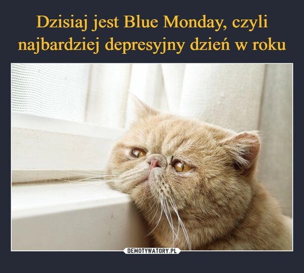 
    Dzisiaj jest Blue Monday, czyli najbardziej depresyjny dzień w roku 