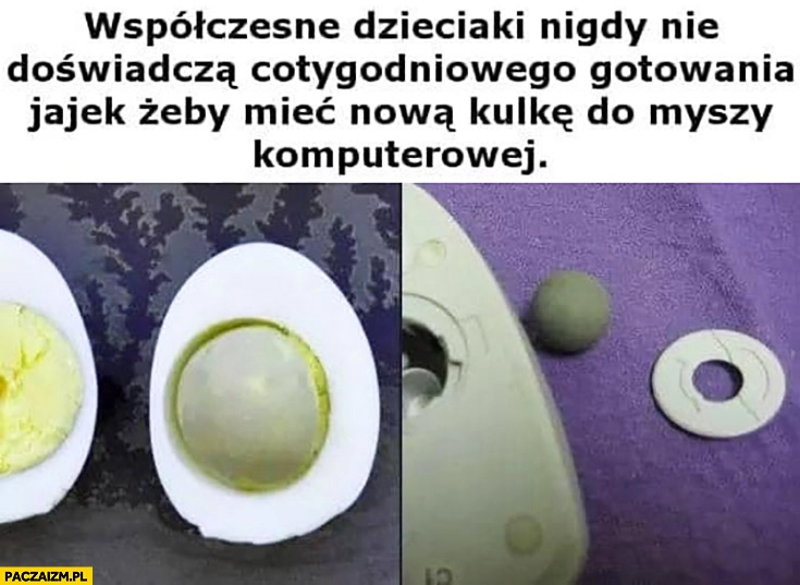
    Współczesne dzieciaki nigdy nie doświadczą cotygodniowego gotowania jajek żeby mieć nową kulkę do myszy komputerowej