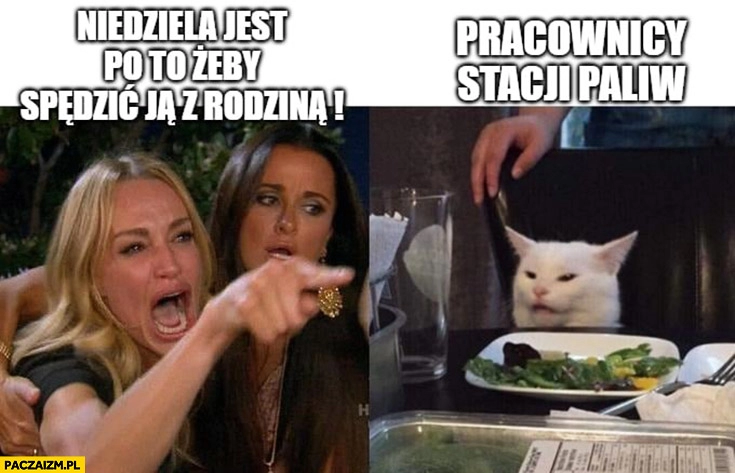 
    Niedziela jest po to żeby spędzić ją z rodzina pracownicy, stacji paliw zdziwiony kot