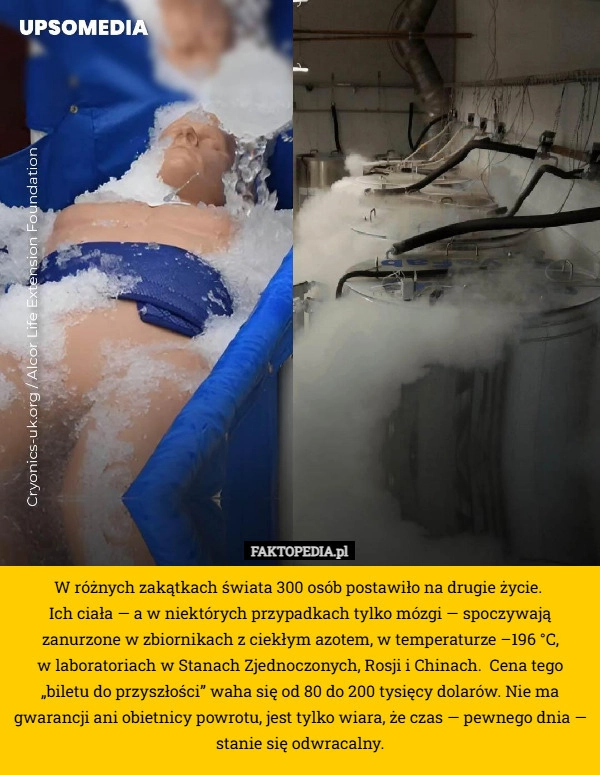 
    W różnych zakątkach świata 300 osób postawiło na drugie życie. 
Ich ciała