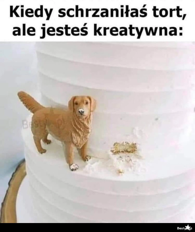 
    Ogarnięte 