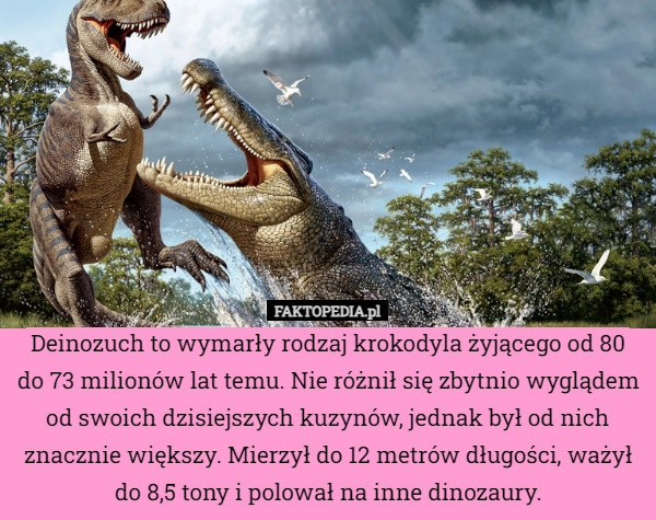 
    Deinozuch to wymarły rodzaj krokodyla żyjącego od 80 do 73 milionów lat