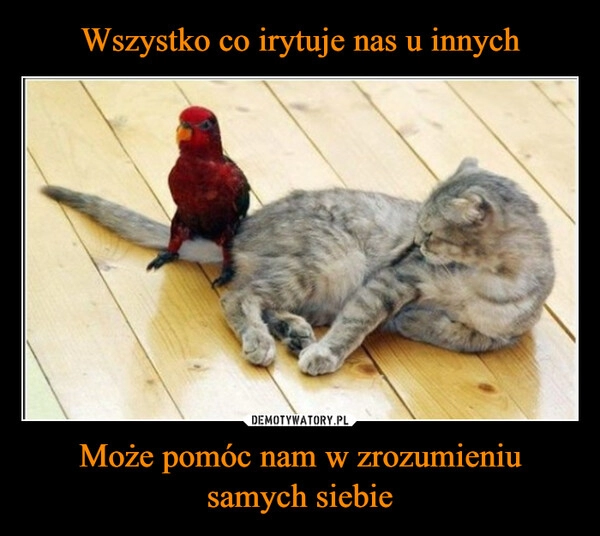 
    Wszystko co irytuje nas u innych Może pomóc nam w zrozumieniu samych siebie