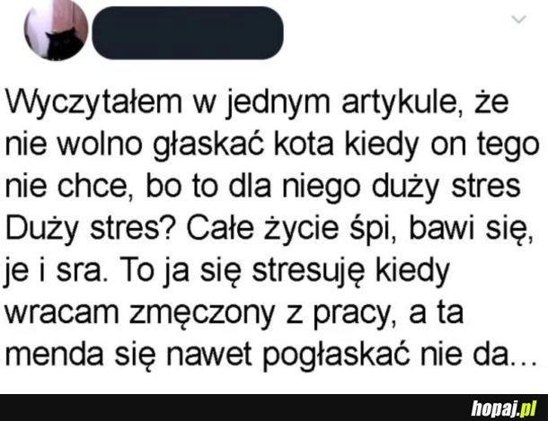 
    Zestresowany panicz