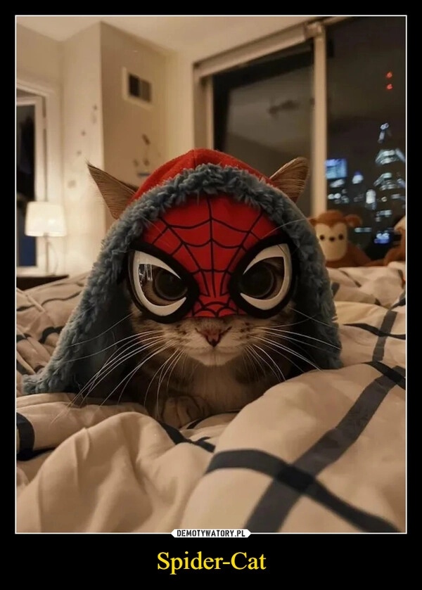 
    Spider-Cat