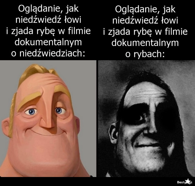 
    Przyrodnicze filmy dokumentalne 