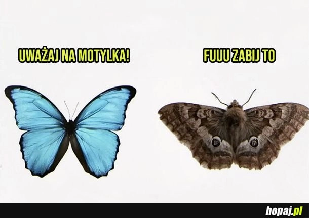 
    Podwójne standardy