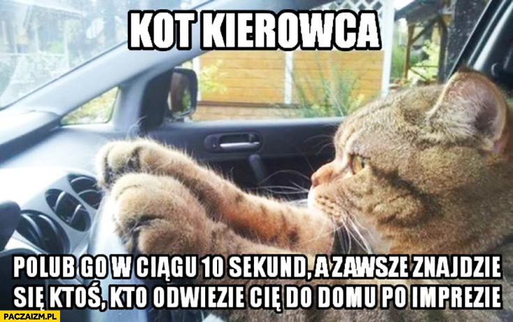 
    Kot kierowca polub go w ciągu 10 sekund a zawsze znajdzie się ktoś kto odwiezie Cię do domu po imprezie