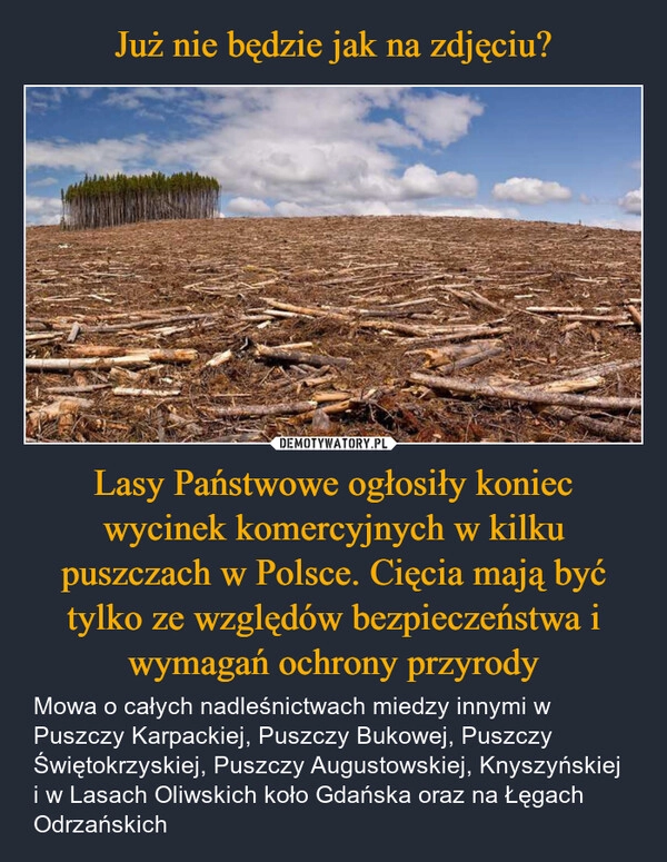 
    Już nie będzie jak na zdjęciu? Lasy Państwowe ogłosiły koniec wycinek komercyjnych w kilku puszczach w Polsce. Cięcia mają być tylko ze względów bezpieczeństwa i wymagań ochrony przyrody