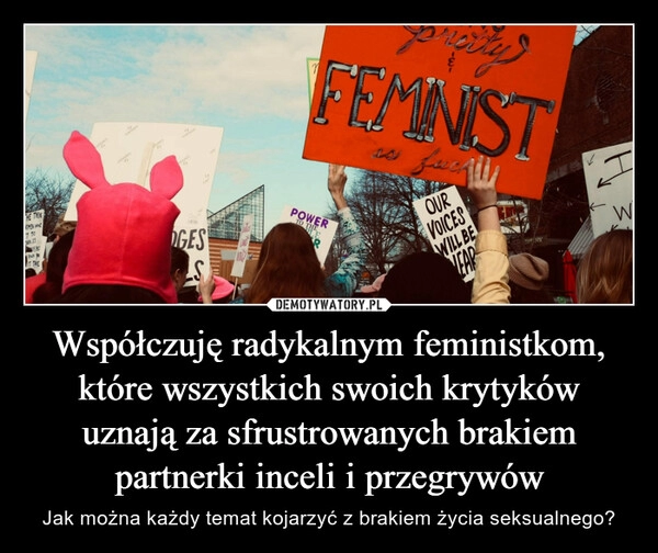 
    Współczuję radykalnym feministkom, które wszystkich swoich krytyków uznają za sfrustrowanych brakiem partnerki inceli i przegrywów 