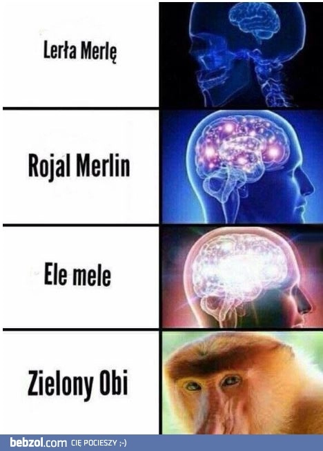 
    Leroy merlin