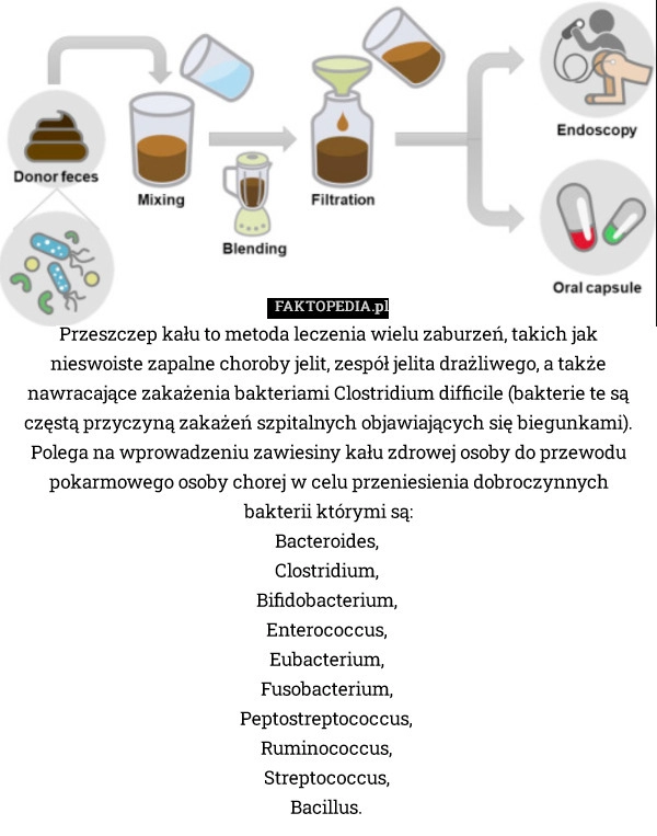 
    Przeszczep kału to metoda leczenia wielu zaburzeń, takich jak nieswoiste