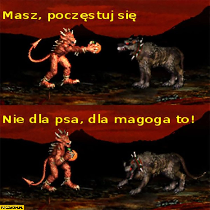 
    Masz poczęstuj się, nie dla psa, dla Magoga to. Pomarańcza Testoviron Heroes of Might and Magic