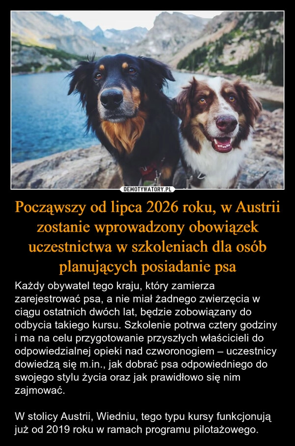
    Począwszy od lipca 2026 roku, w Austrii zostanie wprowadzony obowiązek uczestnictwa w szkoleniach dla osób planujących posiadanie psa