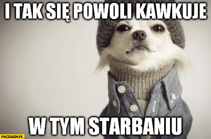 
    I tak się powoli kawkuje w tym starbaniu piesek pies