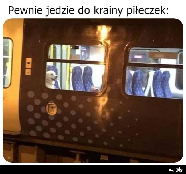 
    W drodze do krainy piłeczek 