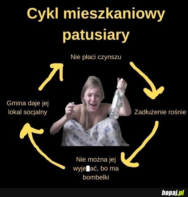 
    Cykl mieszkaniowy patusiary.