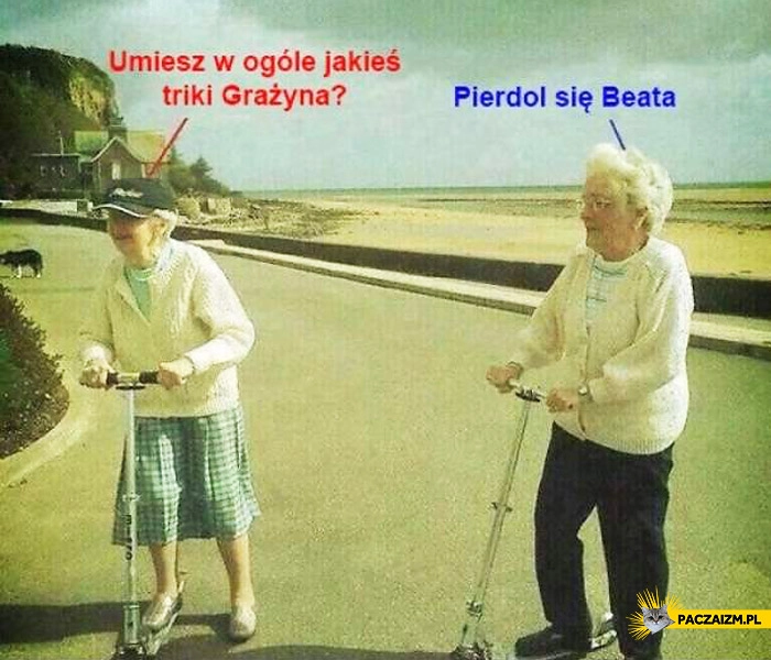 
    Umiesz jakieś triki Grażyna? Pierdol się Beata