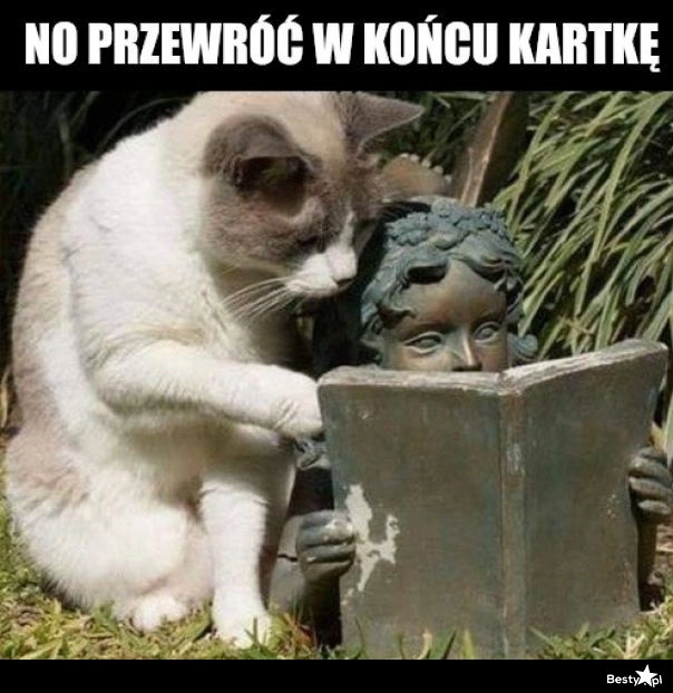 
    No weź, przewróć 