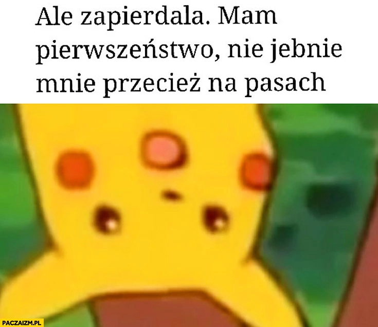
    Ale zapierdziela mam pierwszeństwo nie jebnie mnie przecież na pasach Pikachu