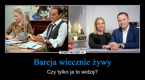 
    Bareja wiecznie żywy