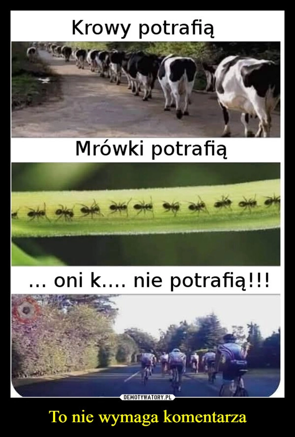 
    To nie wymaga komentarza