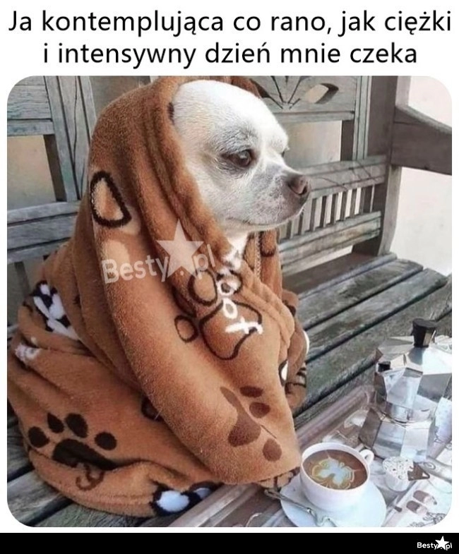 
    Niech już się skończy 