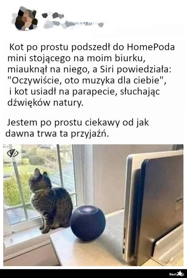 
    Prośba od kota 