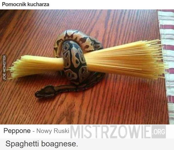 
    Pomocnik kucharza