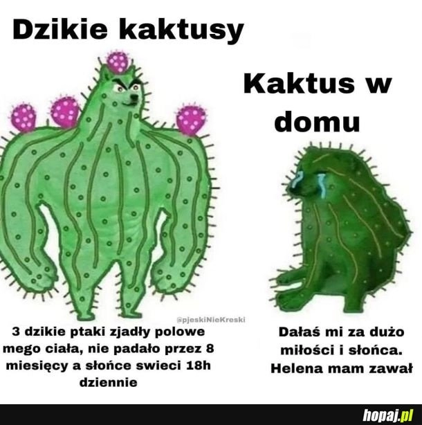 
    Tylko trudne warunki